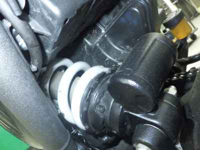 Triumph Speed 400 2024