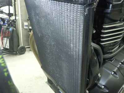 Triumph Speed 400 2024