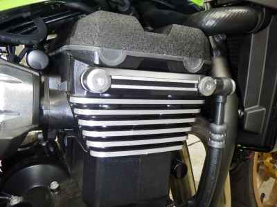 Kawasaki ZRX1200 Daeg 2017