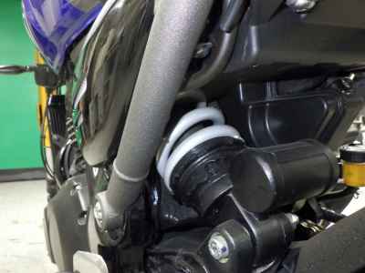 Triumph Speed 400 2024