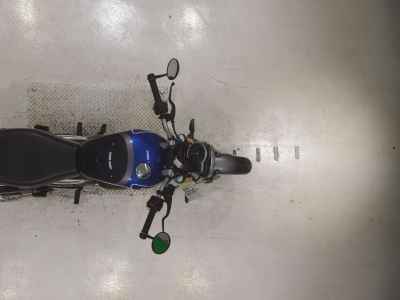 Triumph Speed 400 2024