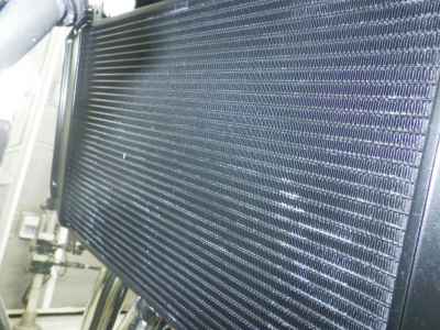 Kawasaki Z900RS Cafe 2024