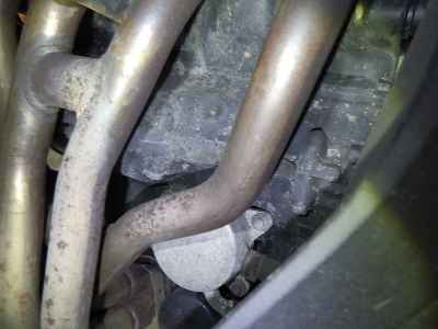 Kawasaki Ninja 1000 2020