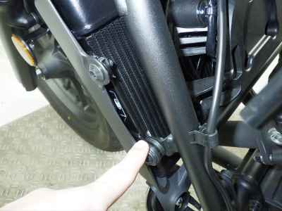 Honda Rebel CMX250 2025