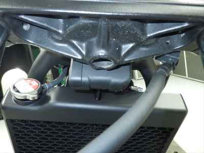 Honda Rebel CMX250 2025