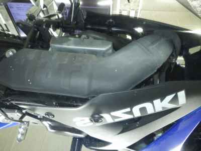 Suzuki GSX250R