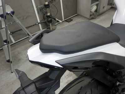 Kawasaki Ninja 1100SX 2025