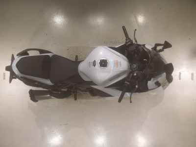 Kawasaki Ninja 1100SX 2025