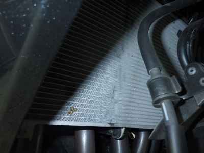 Kawasaki Ninja 1000SX 2024