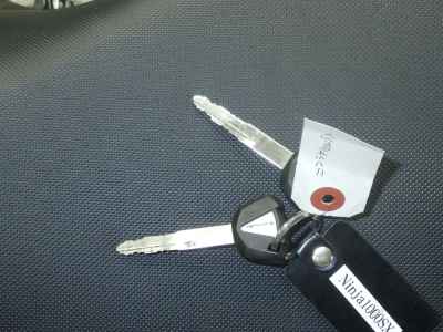 Kawasaki Ninja 1000SX 2024