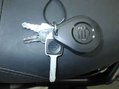 Harley-Davidson FXLRST1920 2023