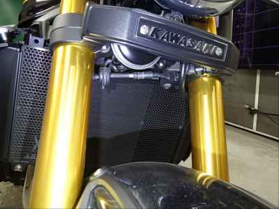 Kawasaki Z900RS SE 2024