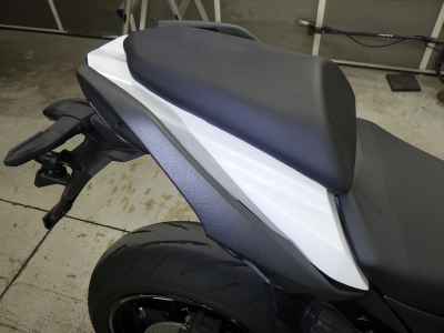 Kawasaki Ninja 1100SX 2025