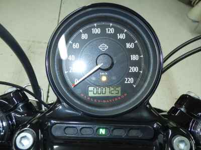 Harley-Davidson Sportster Forty-Eight XL1200XS 2019