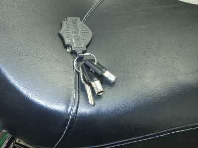 Harley-Davidson Wide Glide FXDWG1580 2015