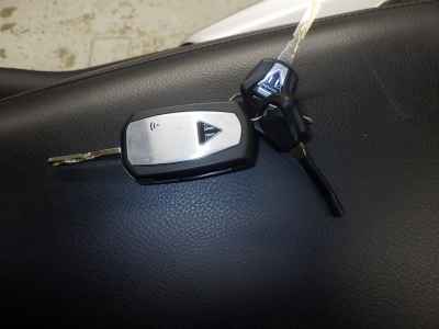 Triumph Street Scrambler 2020