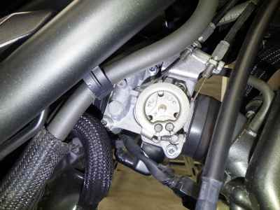 Honda Rebel CMX250 2023