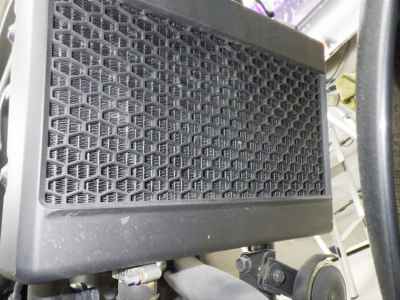 Honda Rebel CMX250 2023