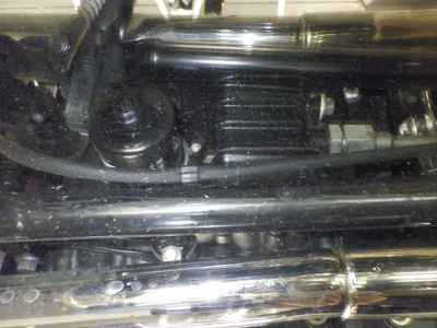 Triumph Bonneville SE 2009