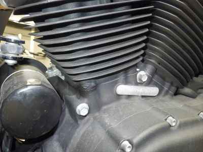 Harley-Davidson Iron XL1200NS 2019