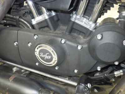 Harley-Davidson Iron XL1200NS 2019