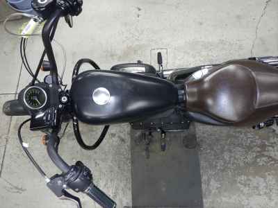 Harley-Davidson Sportster Iron XL883N 2010