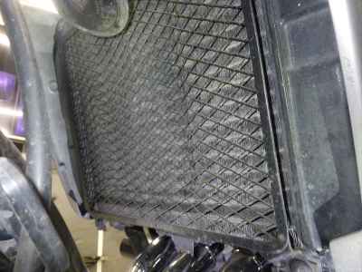 Kawasaki Balius ZR250