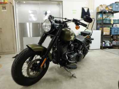 Harley-Davidson Slim S FLSS1800 2015