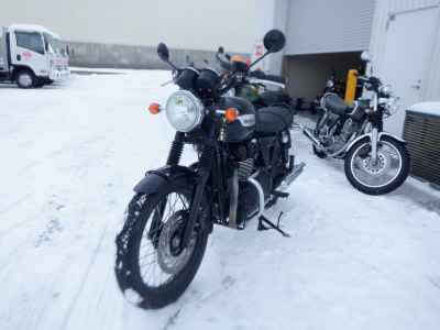 Triumph Bonneville T100 2016