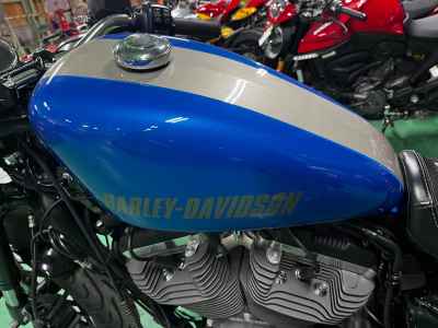 Harley-Davidson Roadster XL1200CX 2019