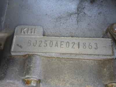 Kawasaki Estrella RS Custom