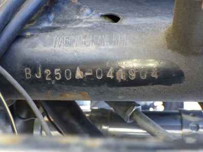 Kawasaki Estrella RS Custom