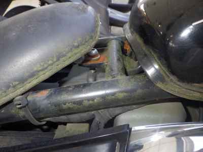 Kawasaki Eliminator 250V Trike