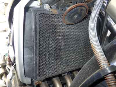 Kawasaki Balius ZR250