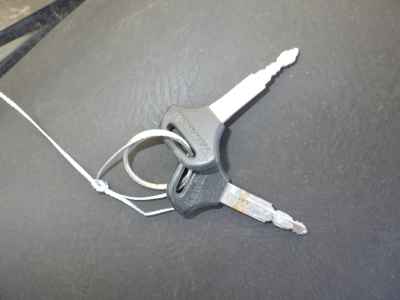 Kawasaki Balius ZR250