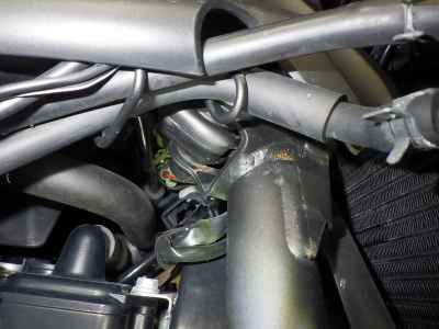 Kawasaki Z900RS 2019