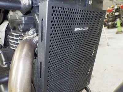 Triumph Speed 400 2024