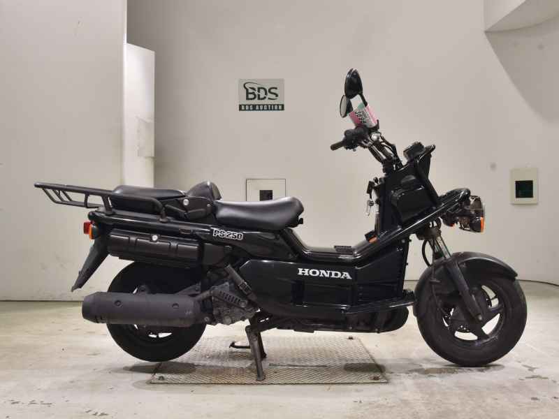 Honda PS250 Big Ruckus 2006