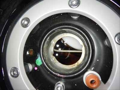 Triumph Trident 660 2025