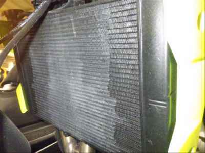 Triumph Trident 660 2025