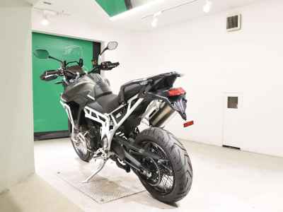 Triumph Tiger 900 Rally Pro 2025