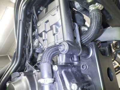 Honda Rebel CMX250 2023