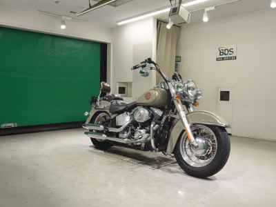 Harley-Davidson Deluxe FLSTN1580 2013