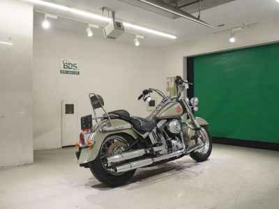 Harley-Davidson Deluxe FLSTN1580 2013