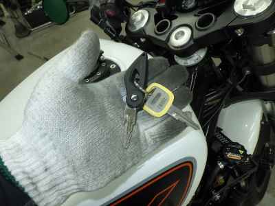 Harley-Davidson X350 2024