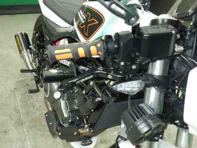 Harley-Davidson X350 2024