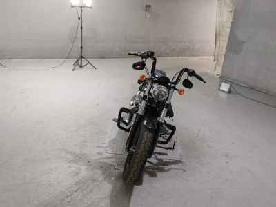 Harley-Davidson Sportster Forty-Eight XL1200XS 2019