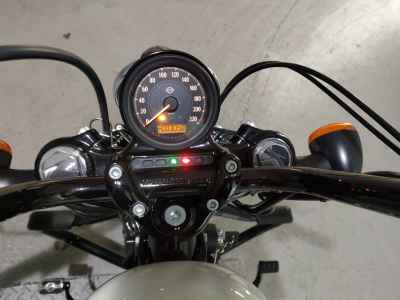 Harley-Davidson Sportster Forty-Eight XL1200XS 2019