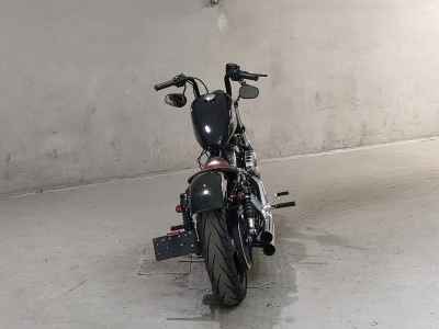 Harley-Davidson Sportster Forty-Eight XL1200X 2014