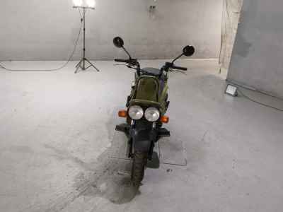 Honda PS250 Big Ruckus 2006